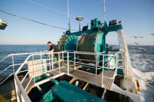 [Communiqué de presse] Les Régions démontrent une gestion exemplaire du FEAMPA en 2025