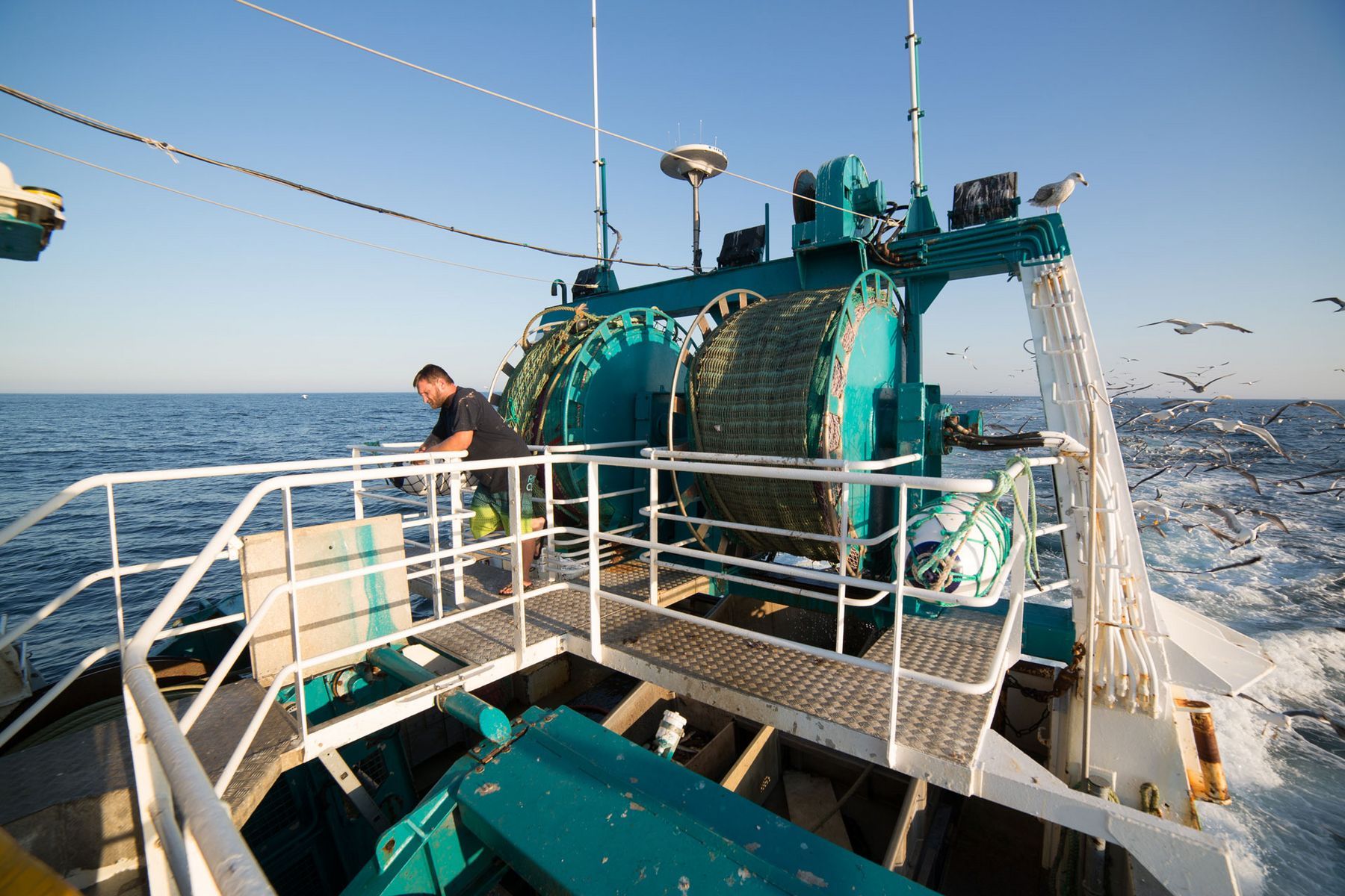 [Communiqué de presse] Les Régions démontrent une gestion exemplaire du FEAMPA en 2025